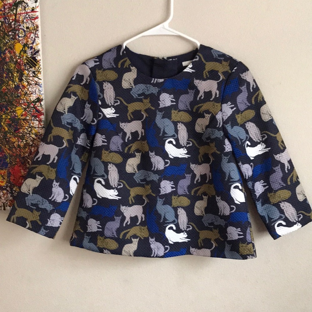 Cat Blouse